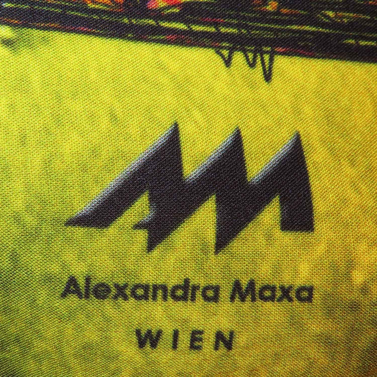 Modal-Schal "Wien-Skyline Grafik"