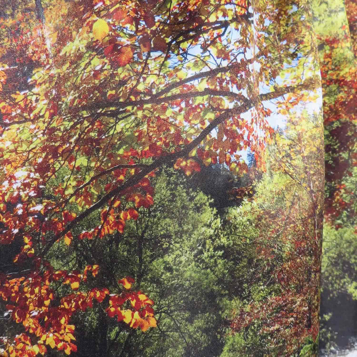 Dirndlschürze "Waldlichtung" bunt