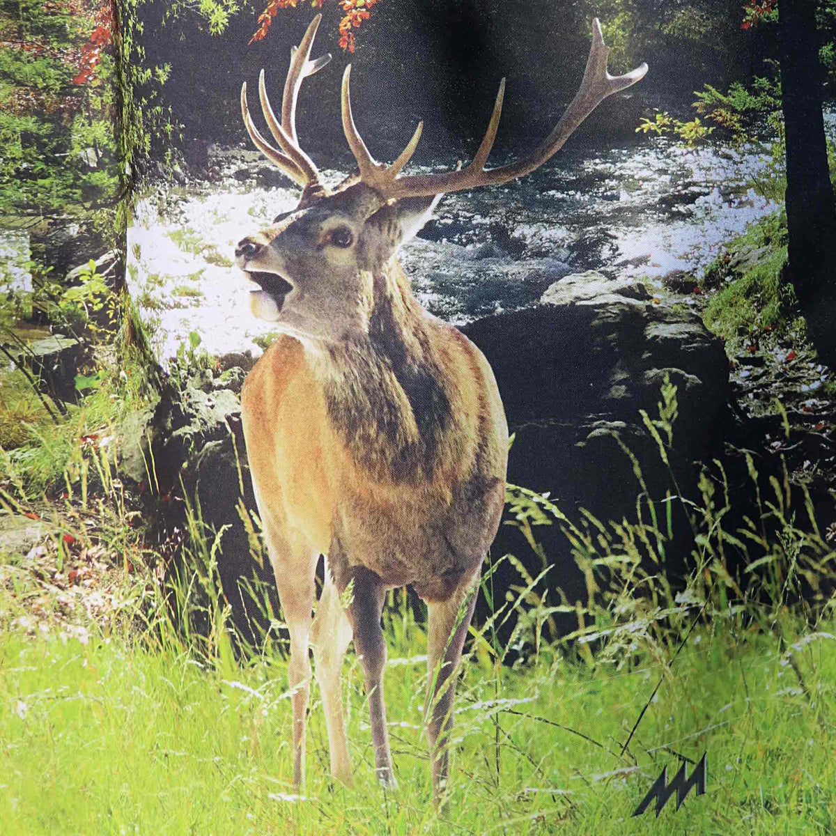 Dirndlschürze "Waldlichtung" bunt