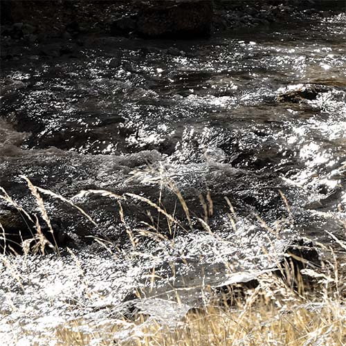 Detailbild 1