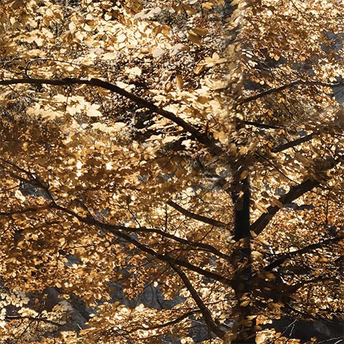 Detailbild 3