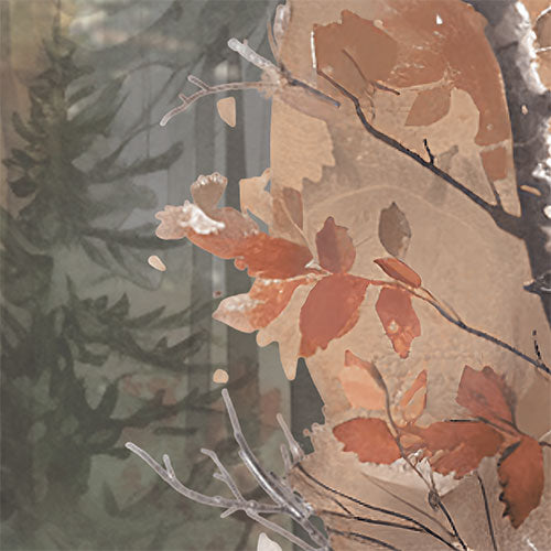 Detailbild 1