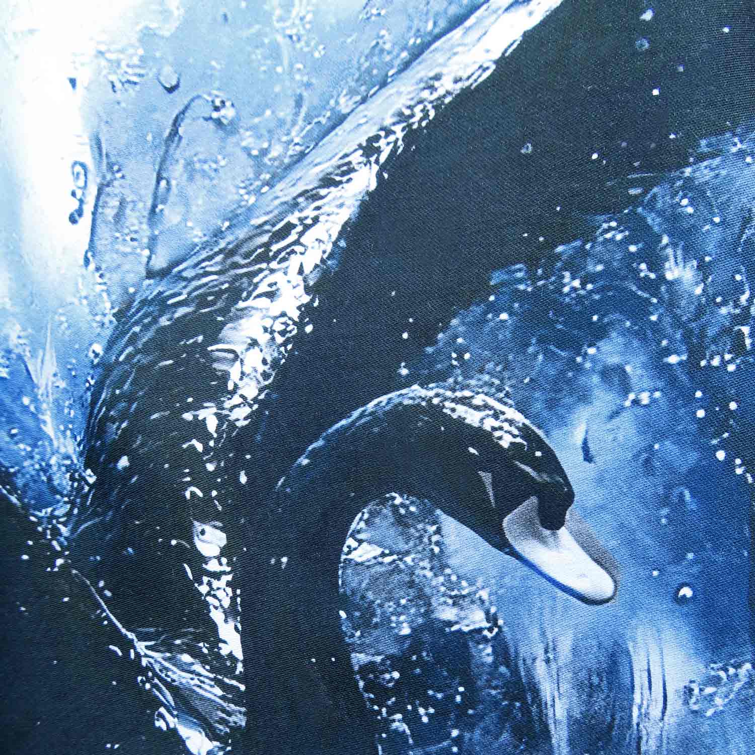 Dirndlschürze "Black Swan"