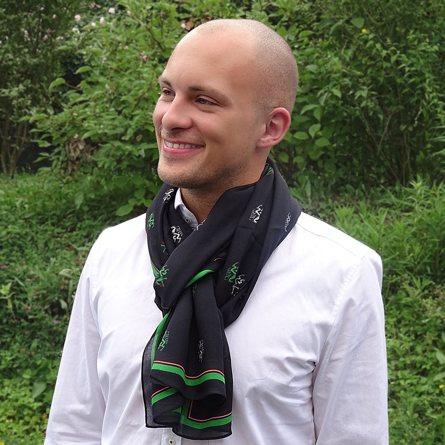 Modal-Schal "Landeswappen Steiermark"