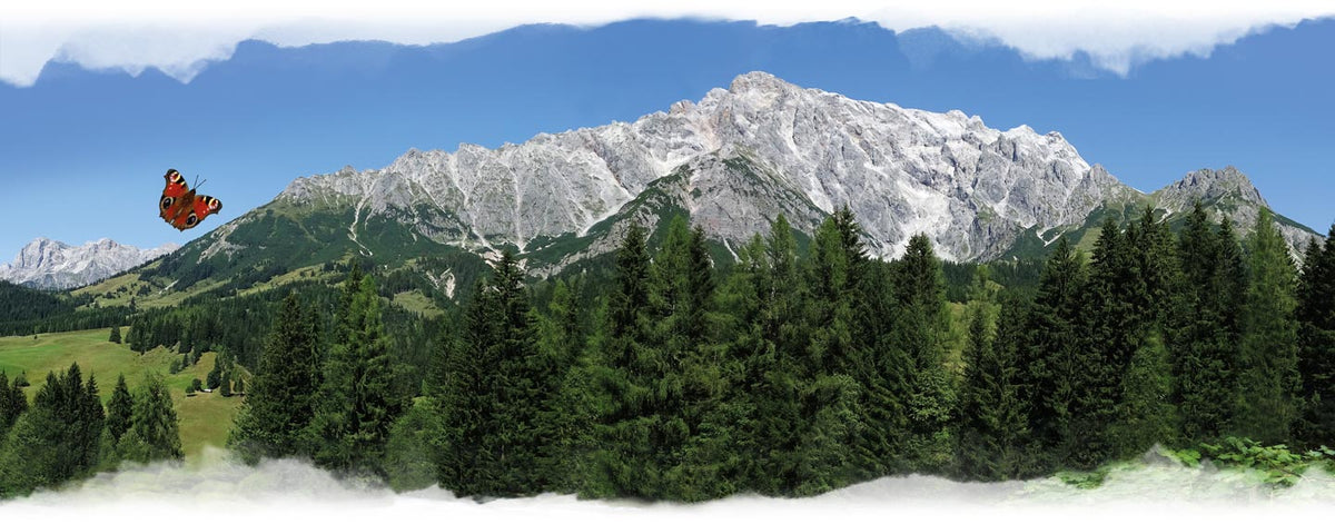 Dirndlschürze "Hochkönig"